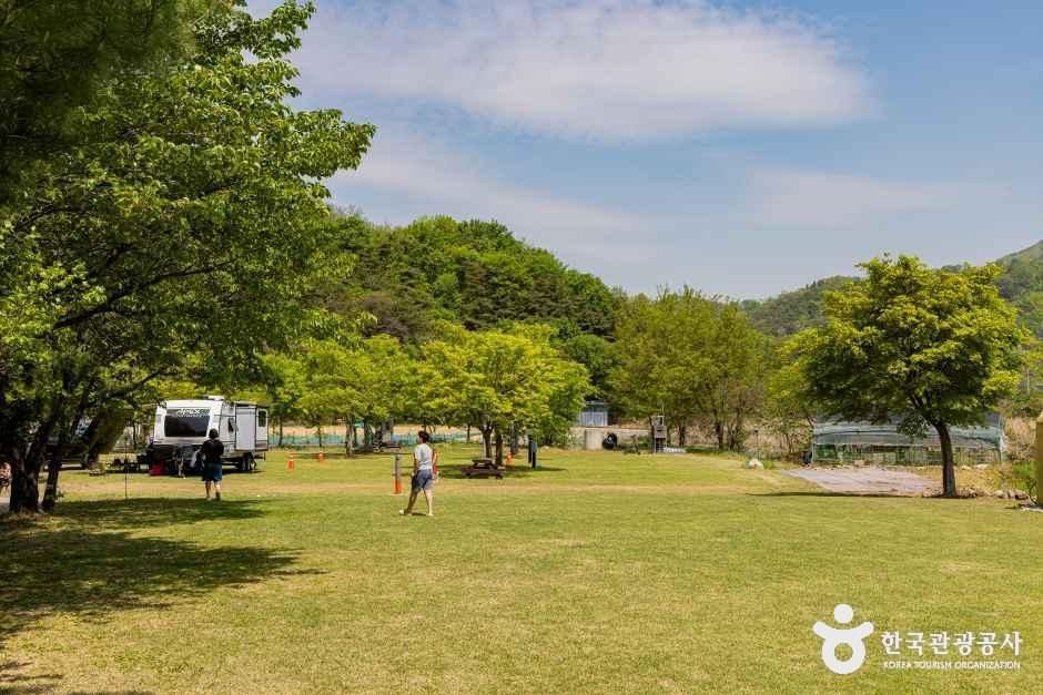 시냇가 캠핑장