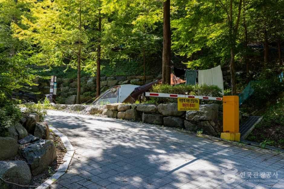 장태산 자연휴양림 캠핑장