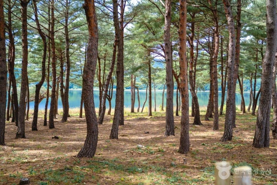 송지호둘레길