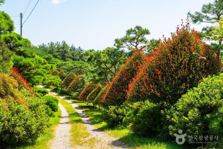 우림원 어드벤처골프&카페
