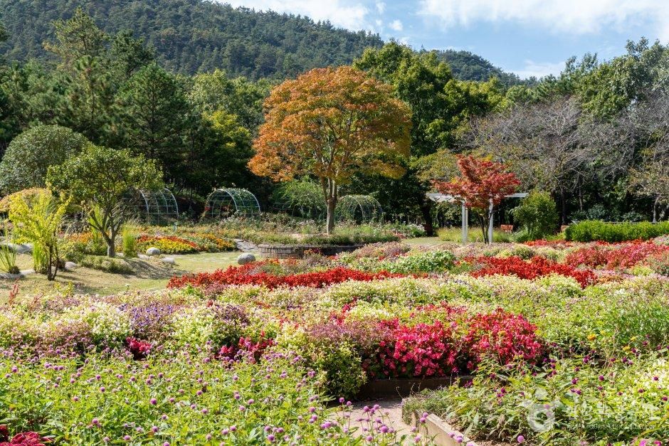 자연 속 쉼과 단정한 풍류가 숨 쉬는 무안 여정_전남광주_무안_무안 물맞이 치유의 숲_4.jpg