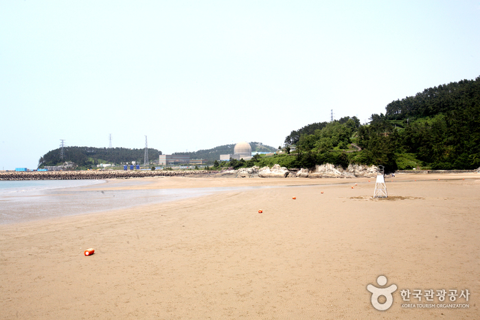 가마미해수욕장 가마미해수욕장
