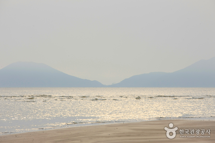 다대포해수욕장 다대포해수욕장