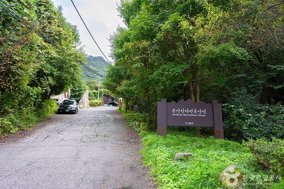 国立雲岳山自然休養林
