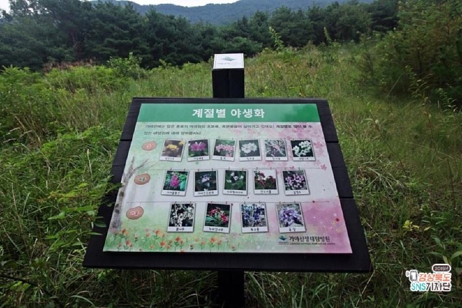 Gayasan National Park Nature Center (국립공원 가야산생태탐방원) : VISITKOREA