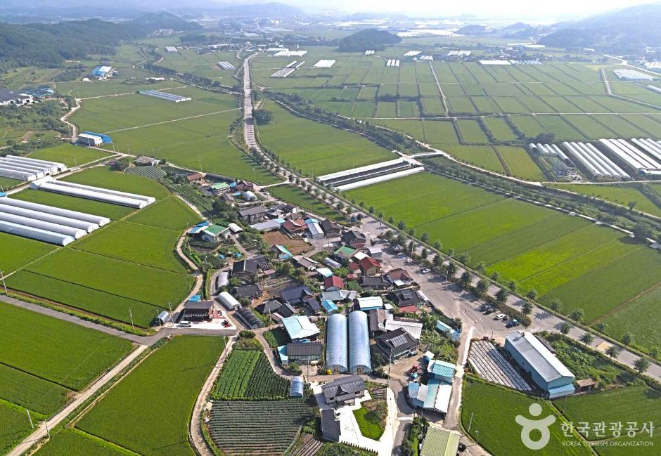 家場村
