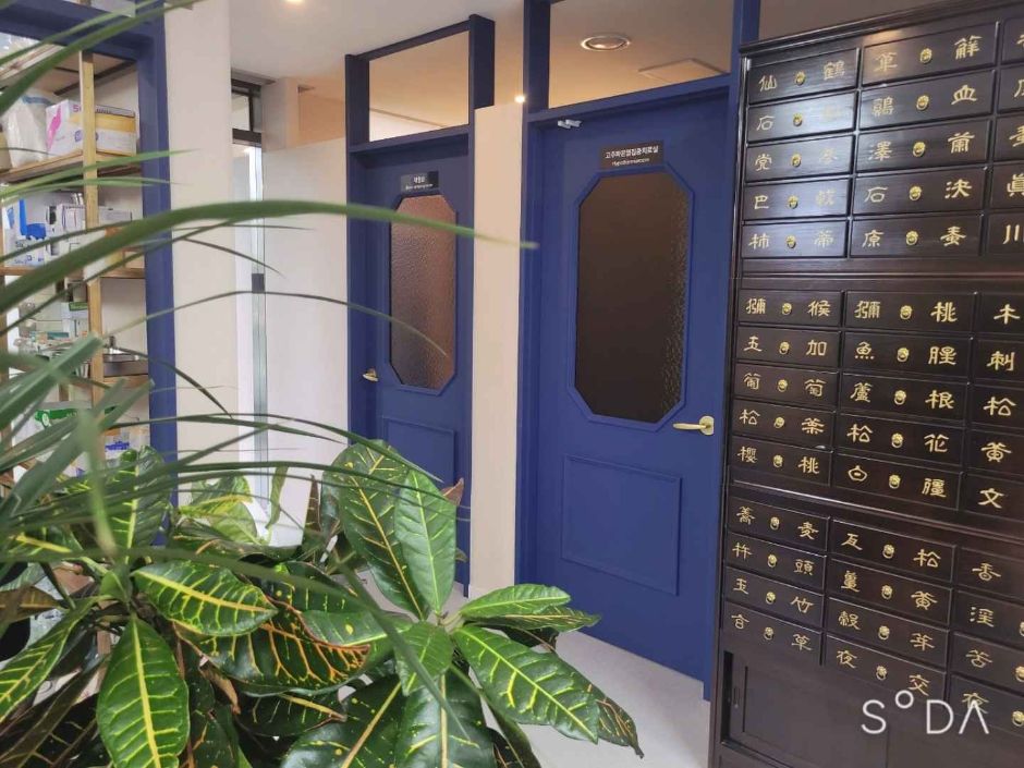 럭쎌내과한의원4