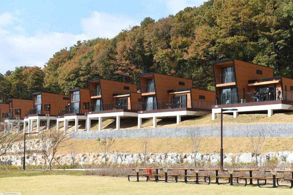 無峰山自然休養林