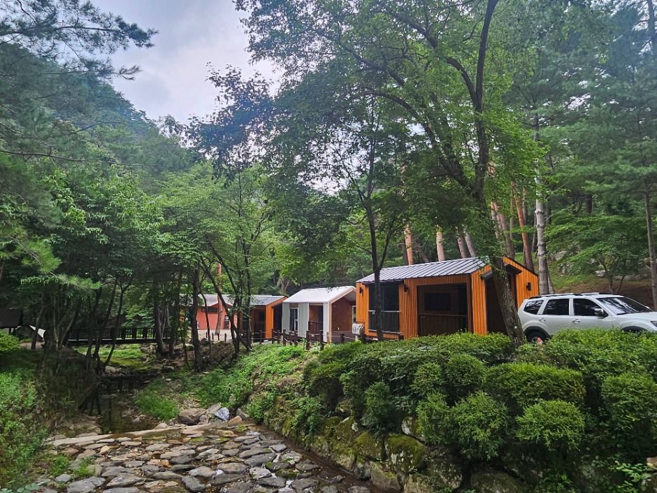 国立黔馬山自然休養林