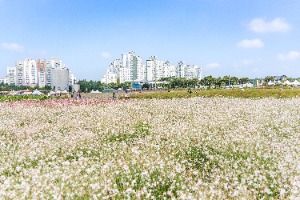양주_나리농원 (3) 미리보기