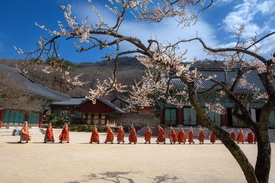 송광사(순천)
