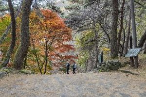 3581993 image3 1 예스키즈존 탐험대 : 실패 없는 육아여행