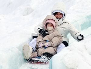 2026 대관령눈꽃축제 2