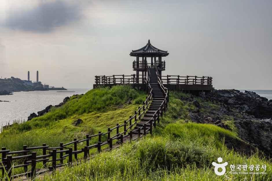 제주_닭머르해안길 (3).jpg