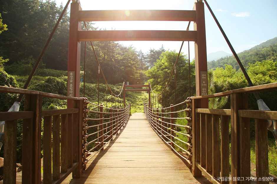 경주_경주국립공원 (5).jpg