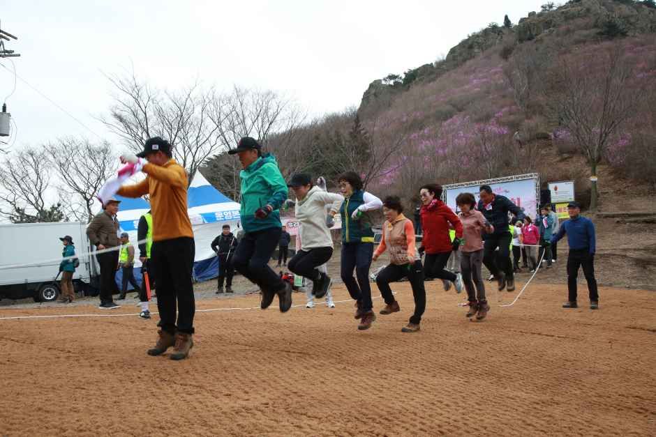 2026 여수 영취산 진달래축제 (3).JPG