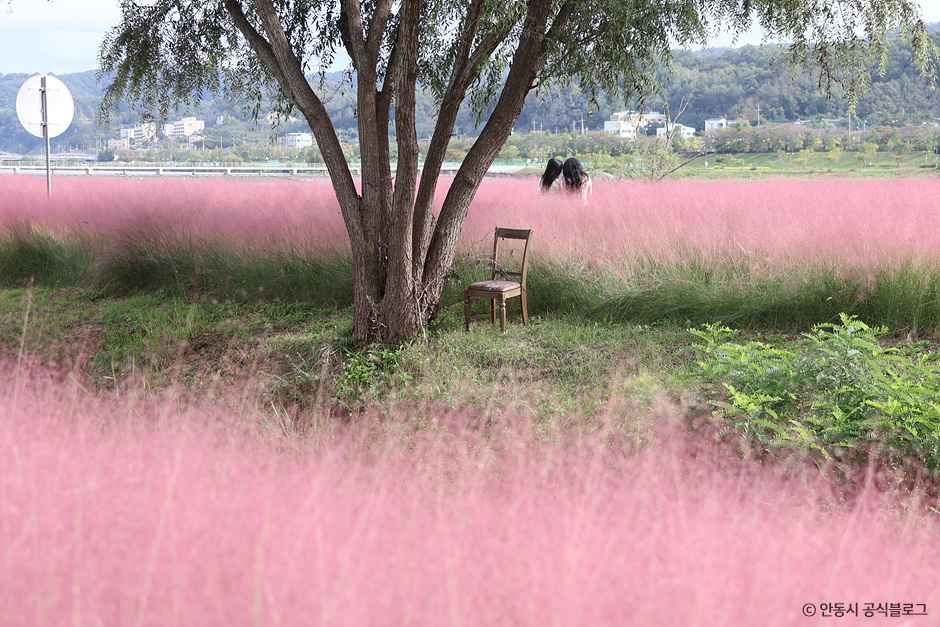 안동_그라스원 (8).jpg