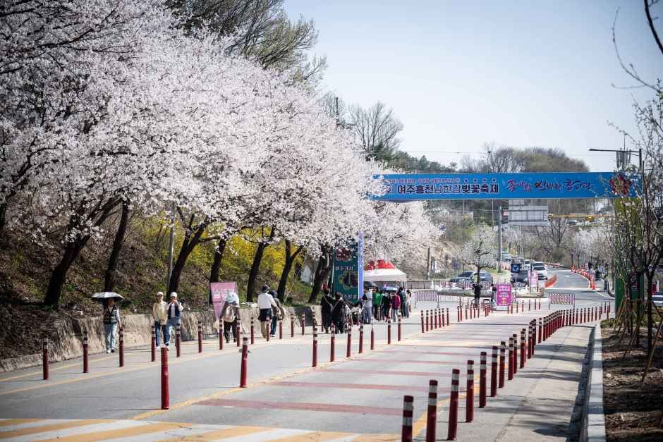 여주흥천남한강 벚꽃축제