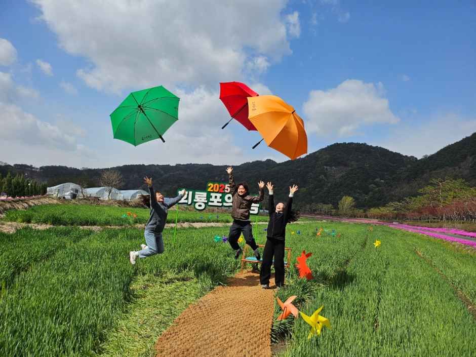 Hoeryongpo Spring Outing Festival