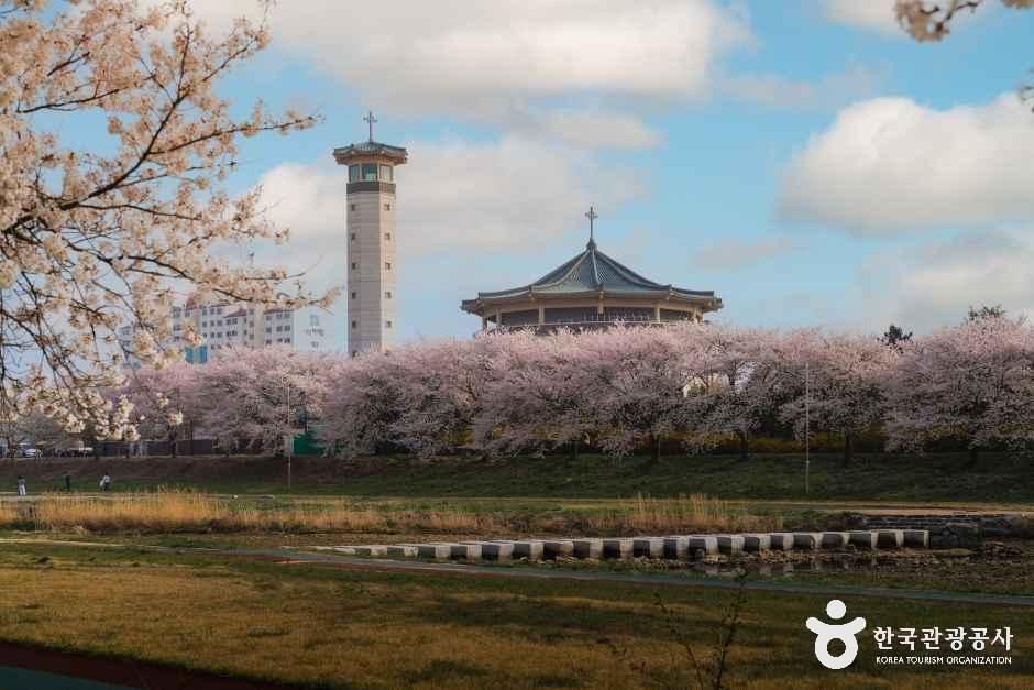 4059393 image2 1 예스키즈존 탐험대 : 실패 없는 육아여행