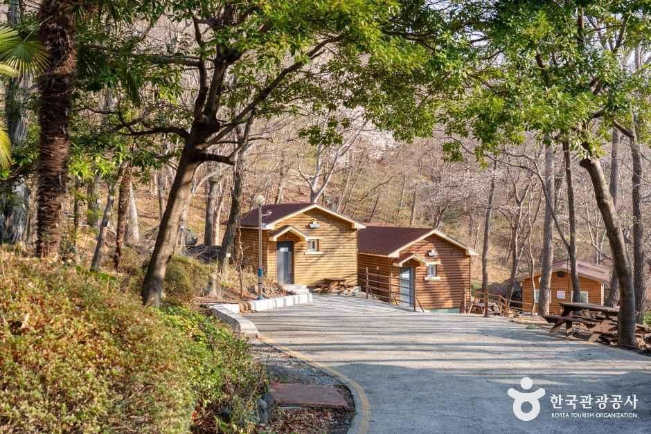 거제자연휴양림