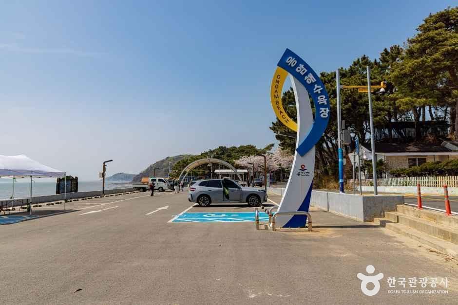 장봉도