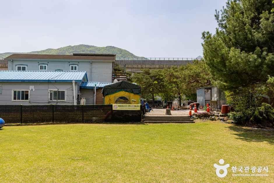 시냇가 캠핑장