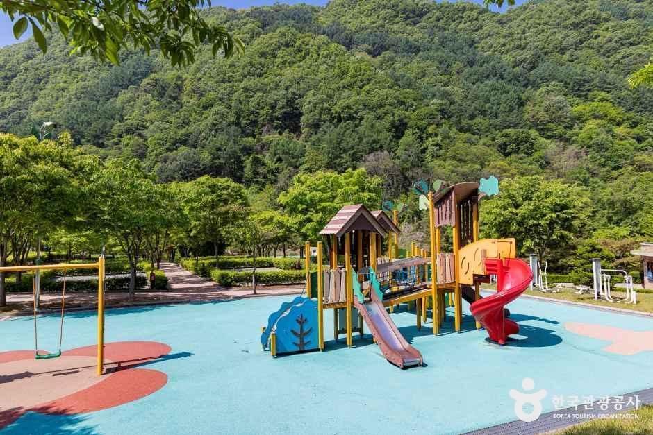 천동관광지