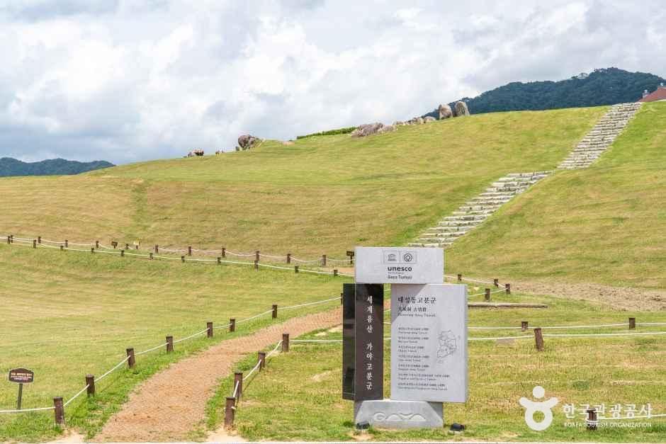 金海 大成洞 古墳群