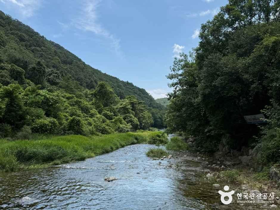 어답산관광지 사진 2