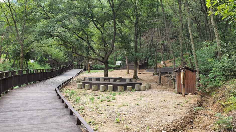 부산 치유의 숲
