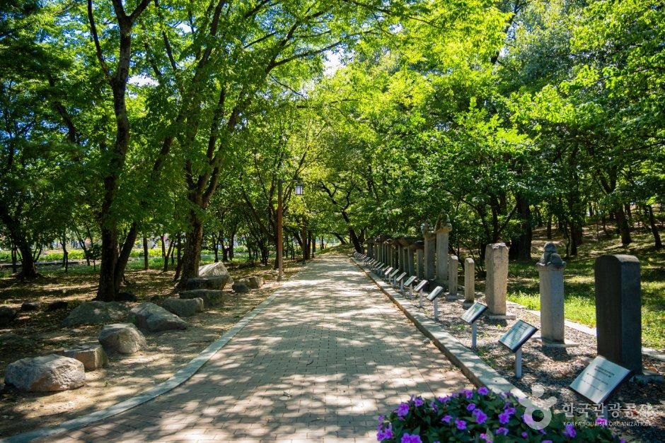 자인계정숲(경산 자인의 계정숲)