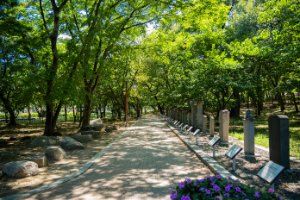 자인계정숲(경산 자인의 계정숲)
