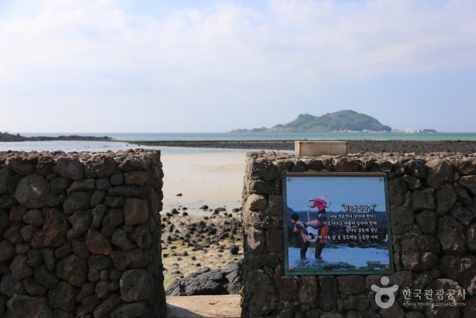 금능돌담해변길