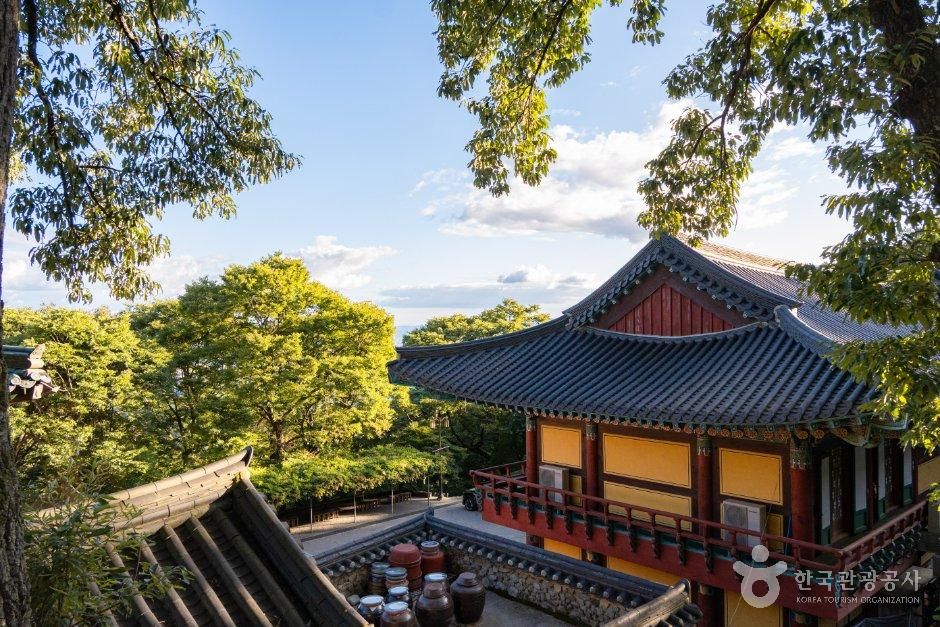 도리사(구미)