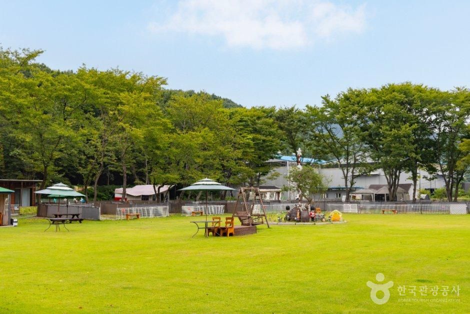 라포레캠핑장