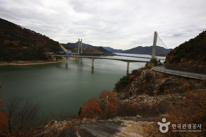 충주호 - 캠프위크