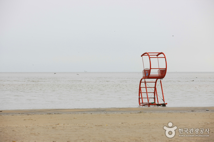 다대포해수욕장 다대포해수욕장