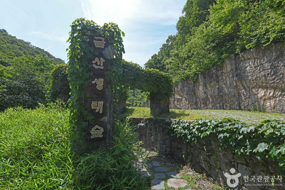 锦山生态林