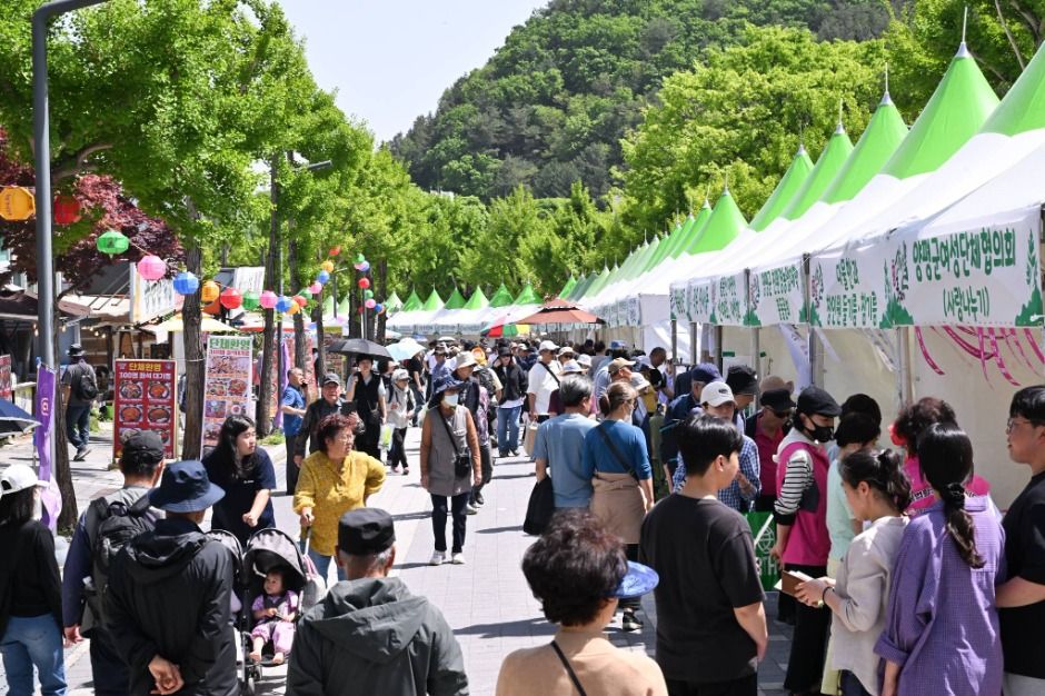 양평 용문산 산나물축제