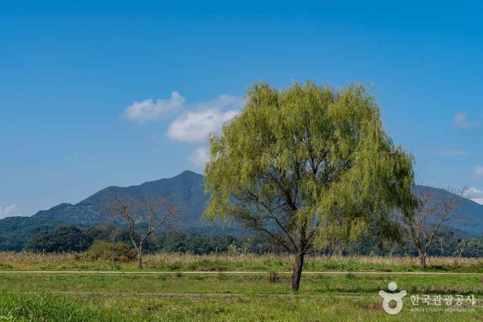 八堂水霧公園