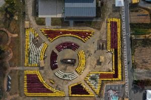 2025 의좋은 형제 축제 4