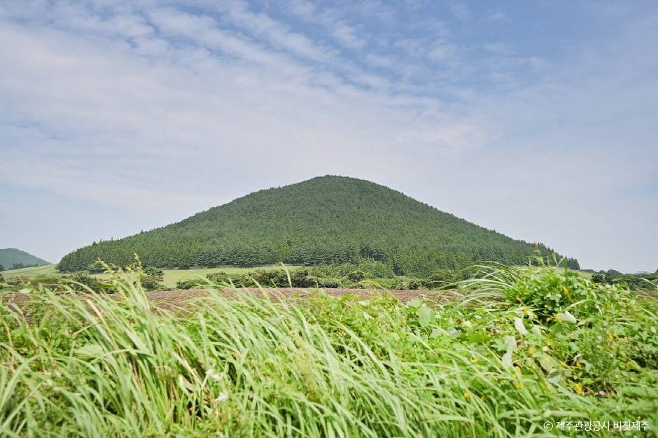 盖奥鲁姆
