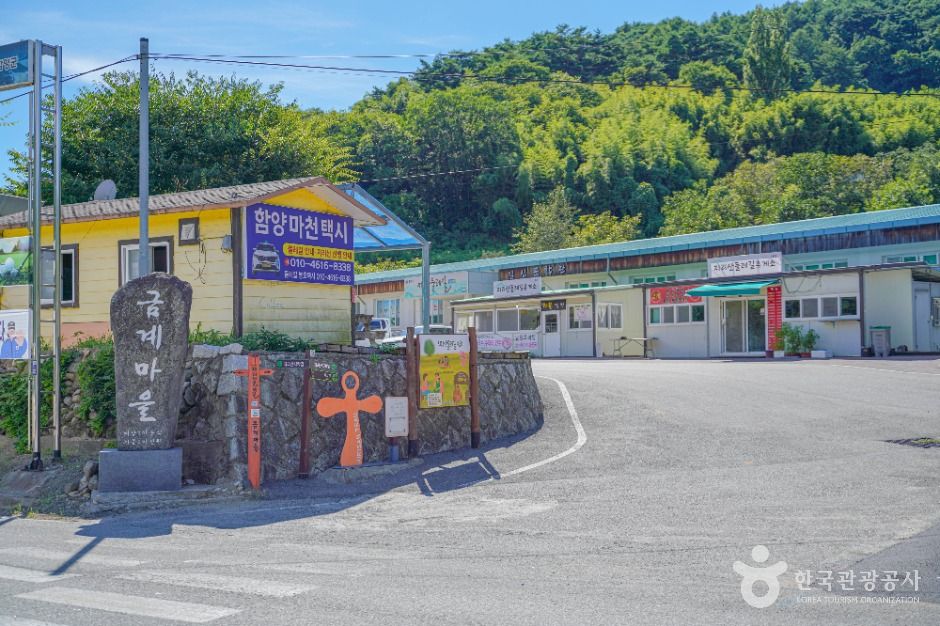 金溪村