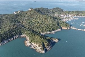 시산도
