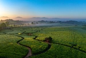 Borinara Hagwon Farm (보리나라 학원농장)