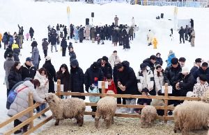 2026 대관령눈꽃축제 1