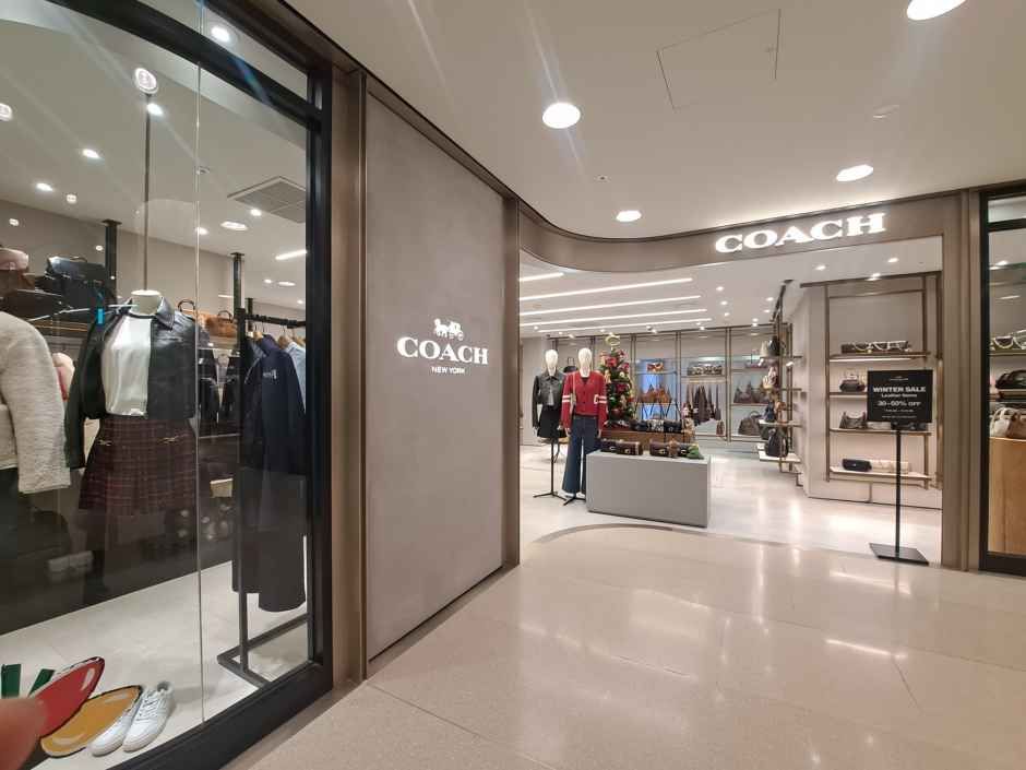 코치 롯데백화점 본점