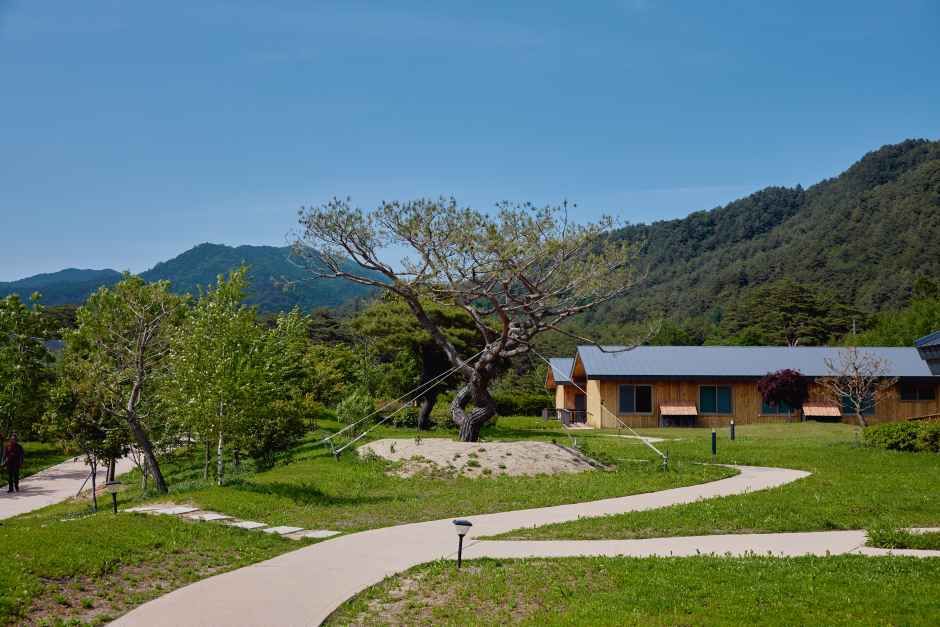 평창_오대산 자연명상마을 옴뷔 (9).jpg