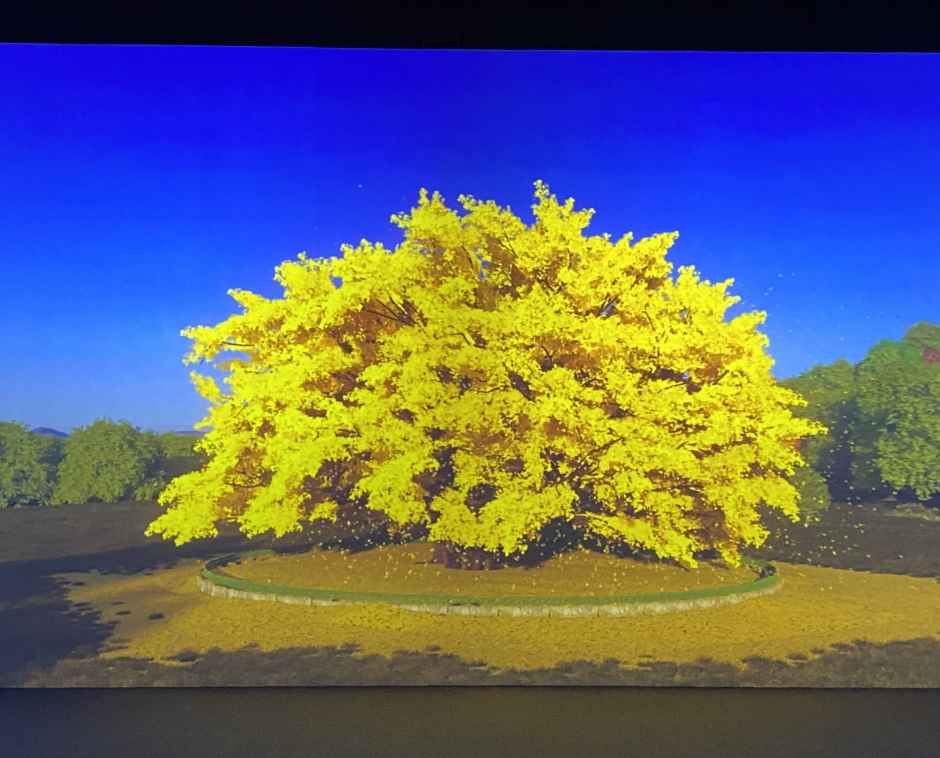 원주_소금산 미디어아트센터 (5).jpg